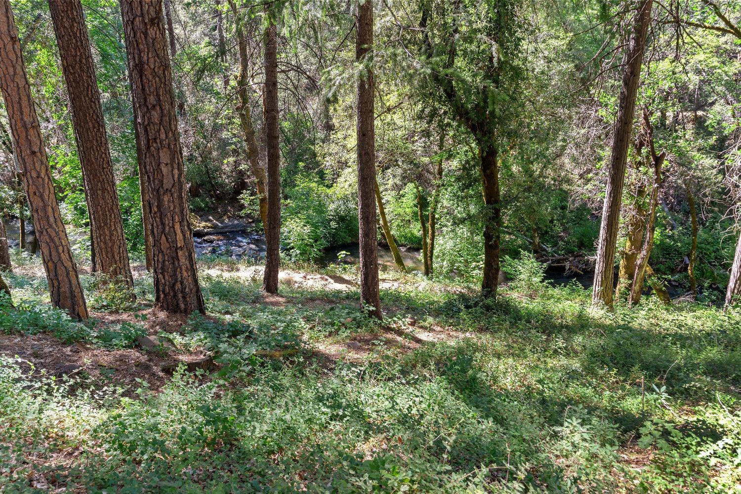 Grass Valley, California 95949, United States, 3 Bedrooms Bedrooms, ,2 BathroomsBathrooms,Residential,Pending,32199