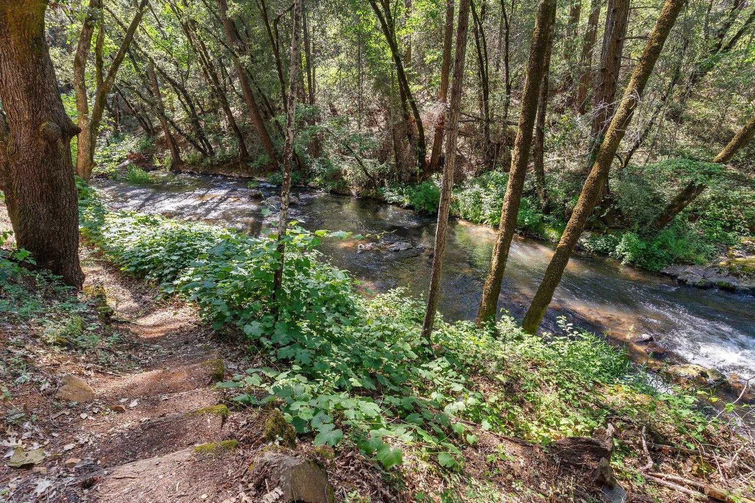 Grass Valley, California 95949, United States, 3 Bedrooms Bedrooms, ,2 BathroomsBathrooms,Residential,Pending,32199