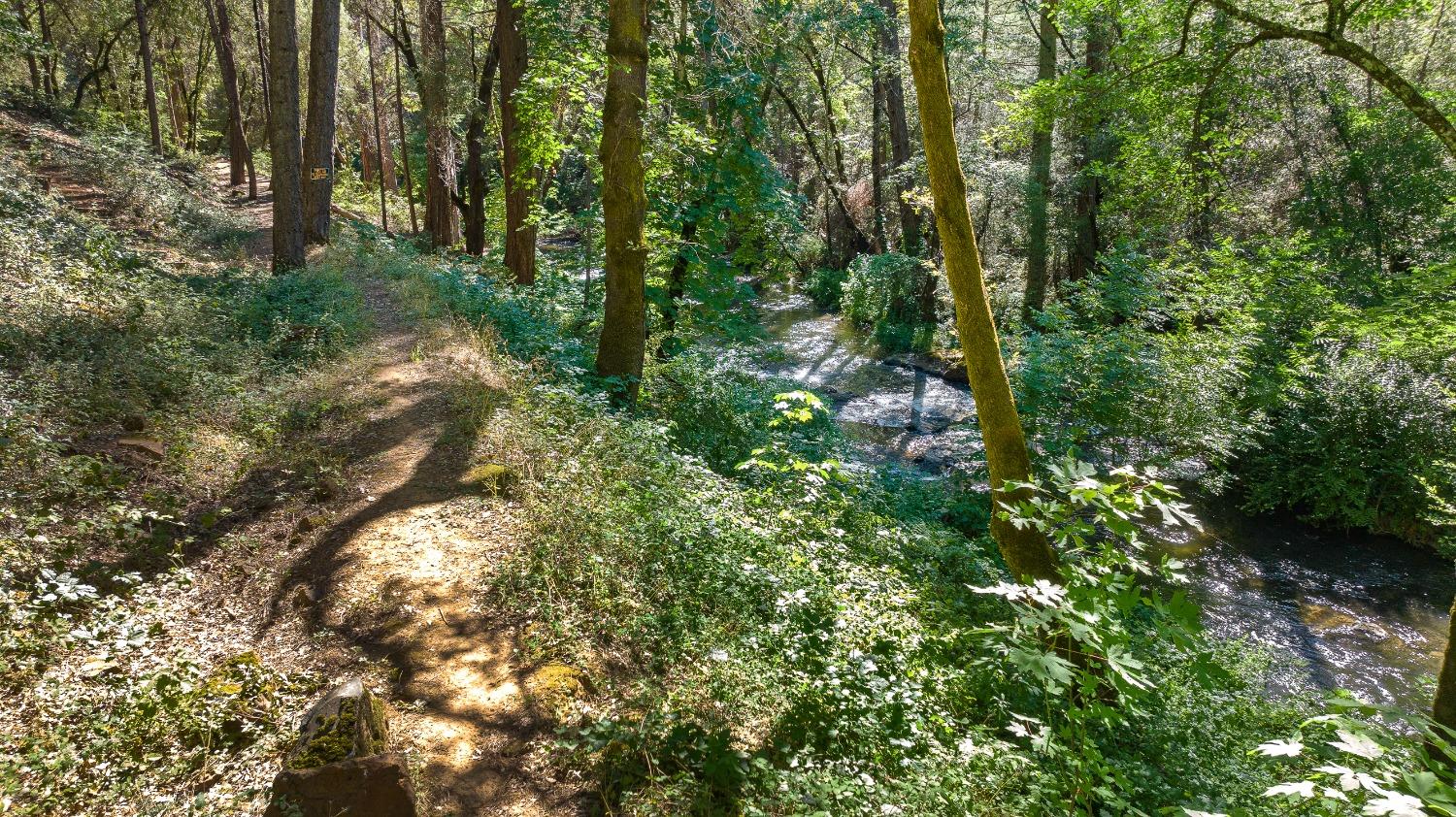 Grass Valley, California 95949, United States, 3 Bedrooms Bedrooms, ,2 BathroomsBathrooms,Residential,Pending,32199