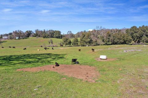 1229 W Murray Creek Road San Andreas CA 95249