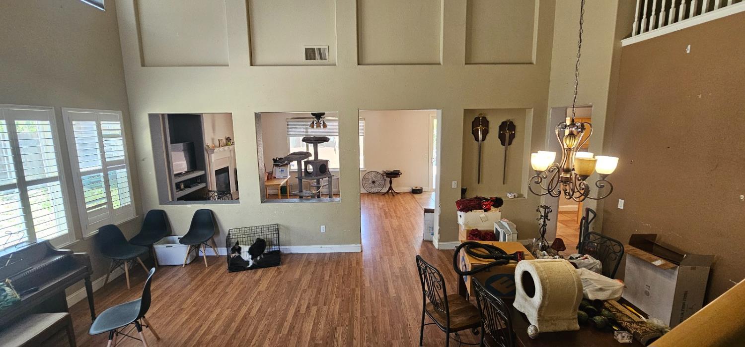16 Skarda Court
