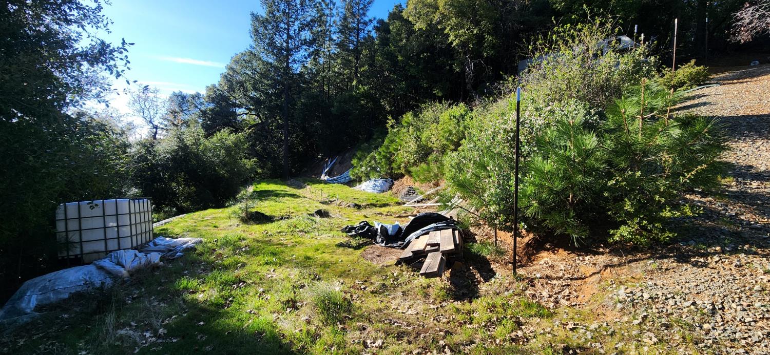 18645 Blue Ridge Rd.