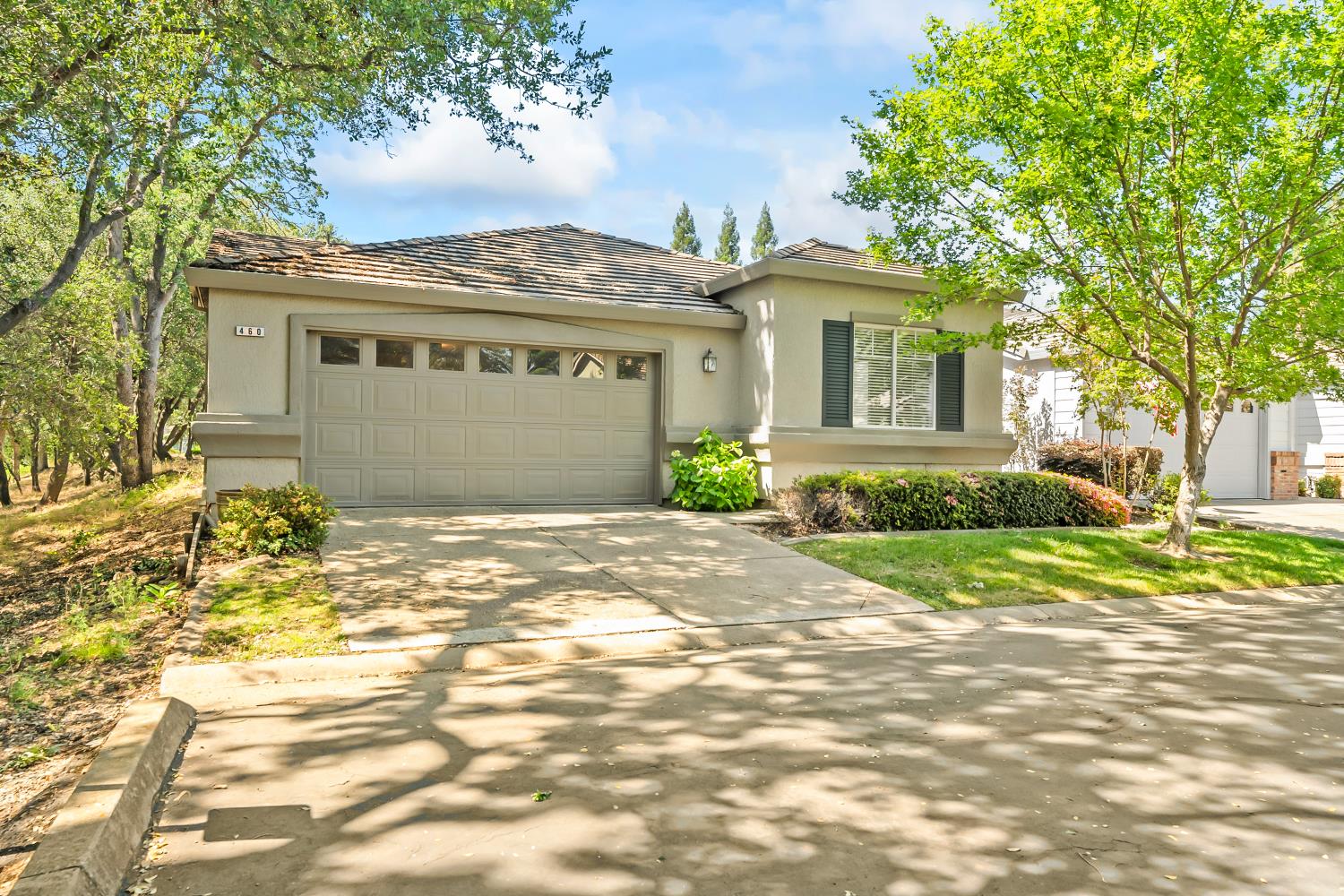 460 Precious Lane