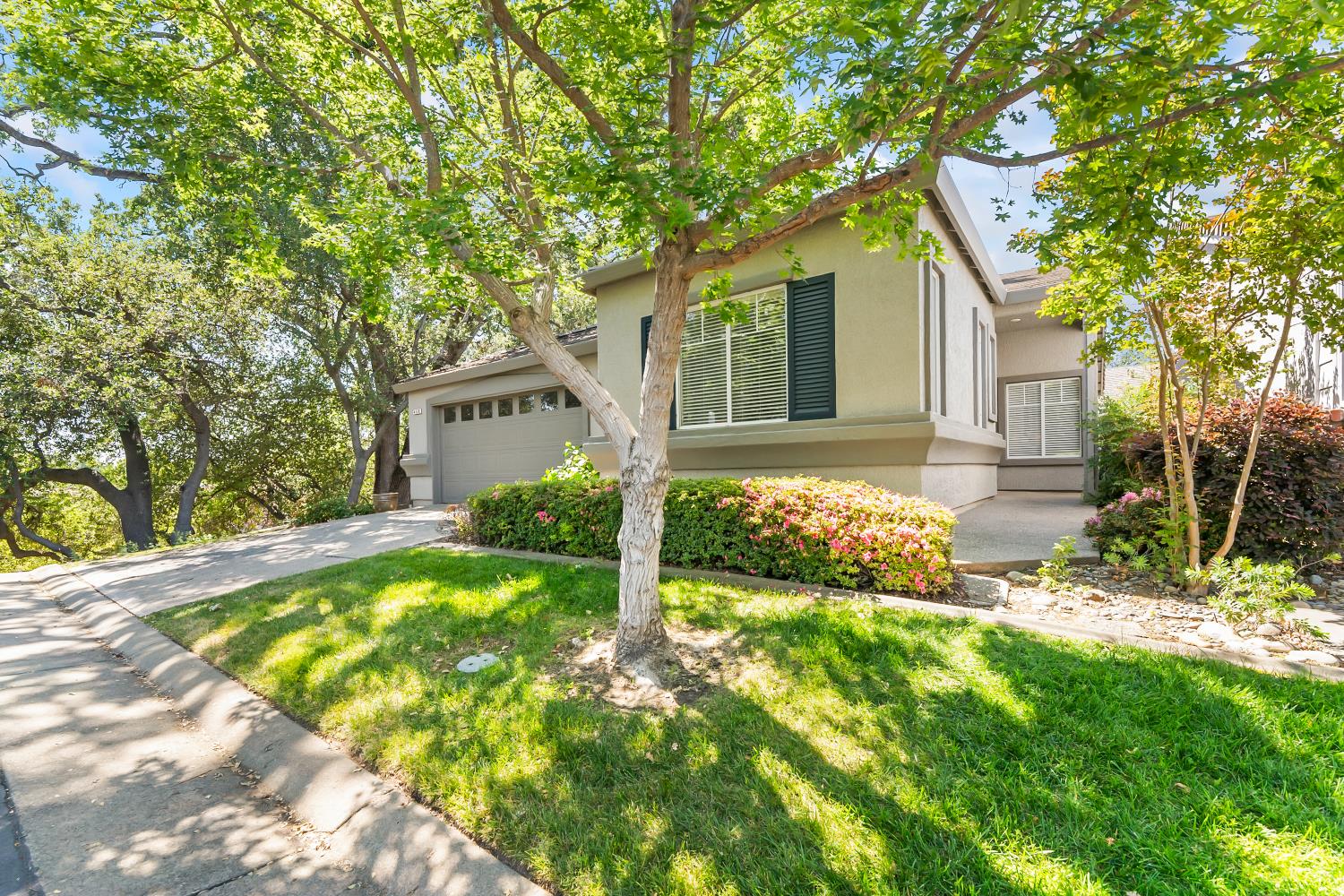 460 Precious Lane
