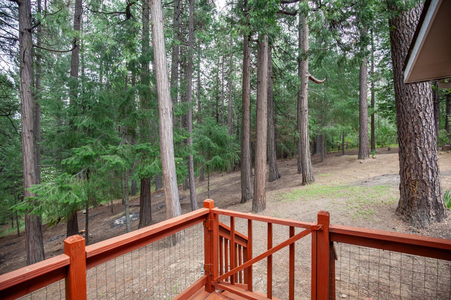 9427 Grizzly Flat Road