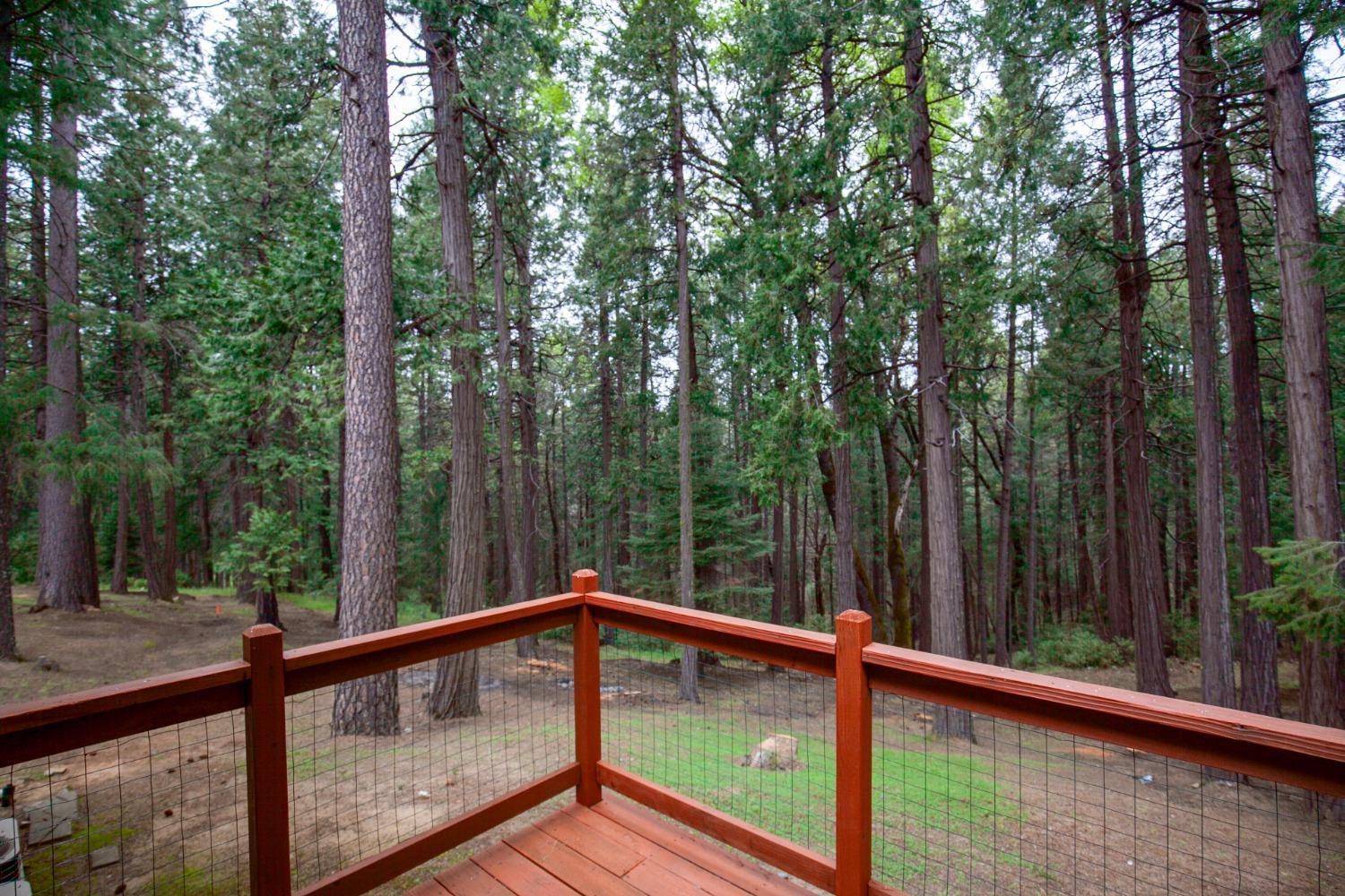 9427 Grizzly Flat Road