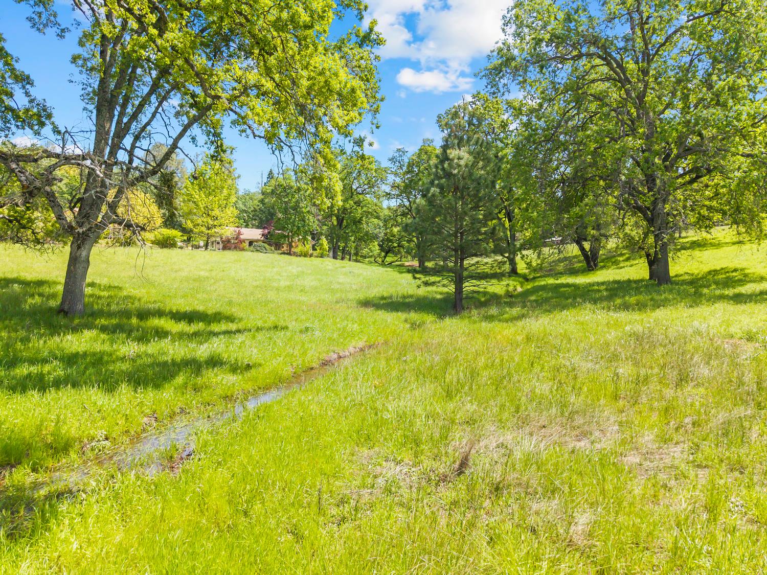 19461 Fiddletown Rd