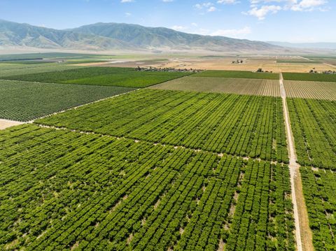 0 Rock Pile Arvin CA 93203