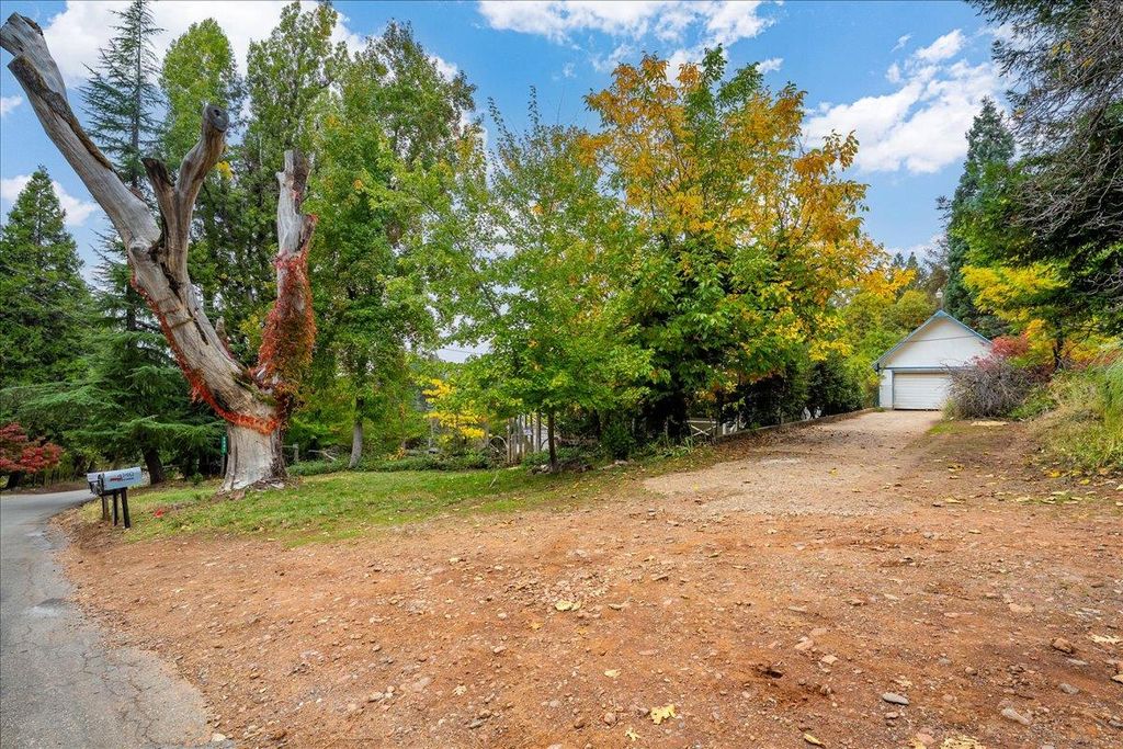 Photo of 9501 Grizzly Flat Road, Grizzly Flats, CA 95636 (MLS # 225136878)