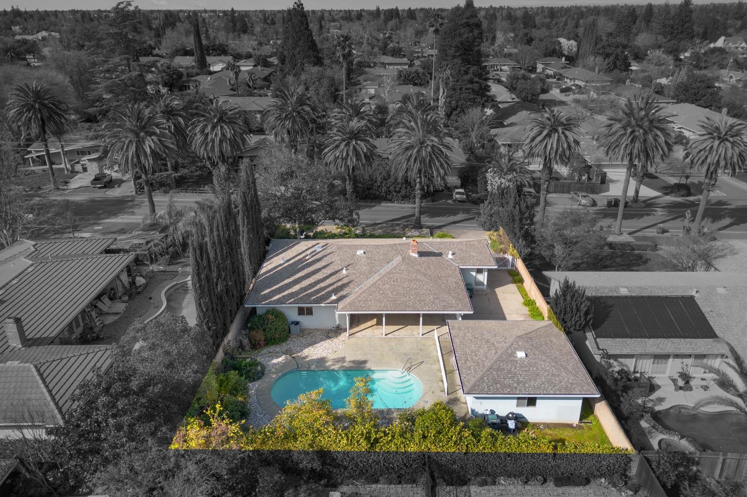 6310 Palm Drive