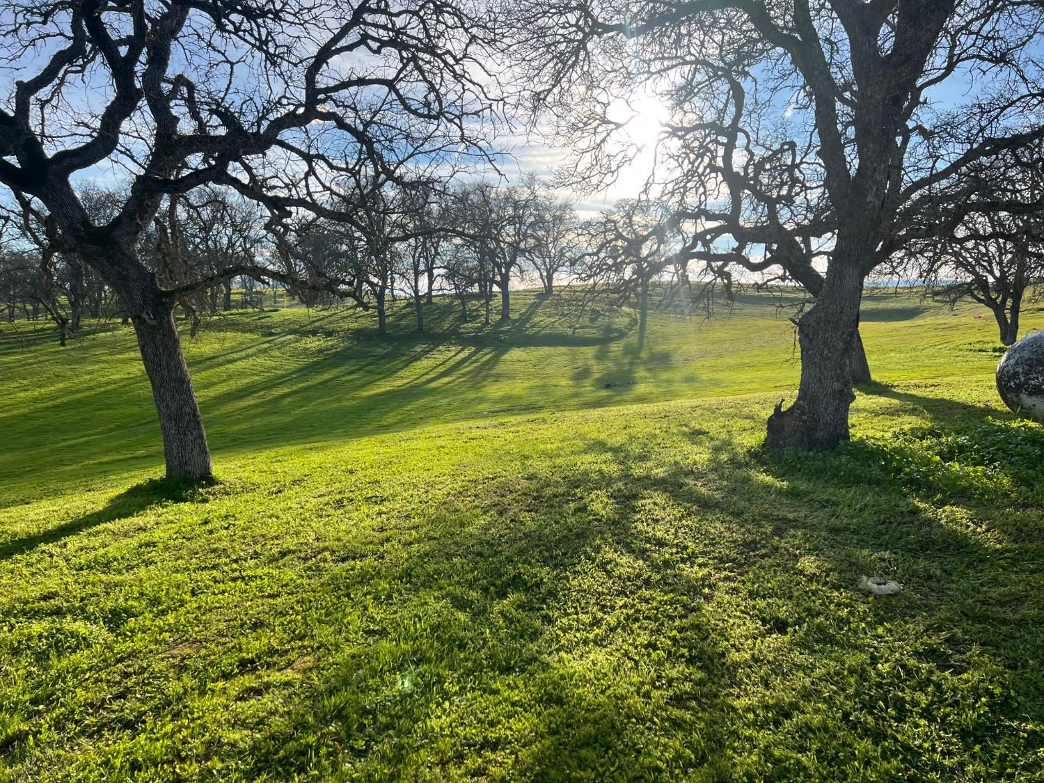 4068 Little John Road