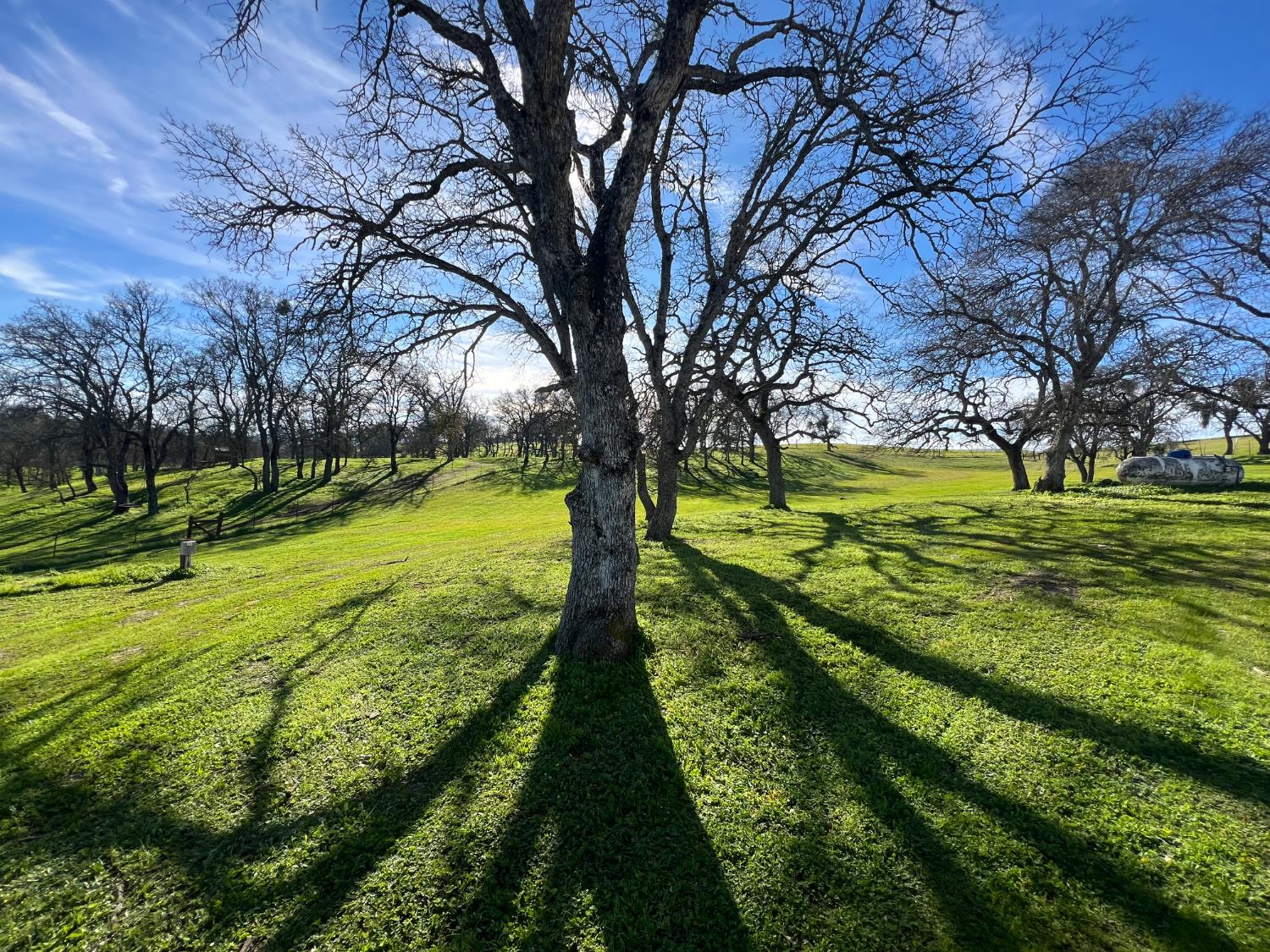 4068 Little John Road