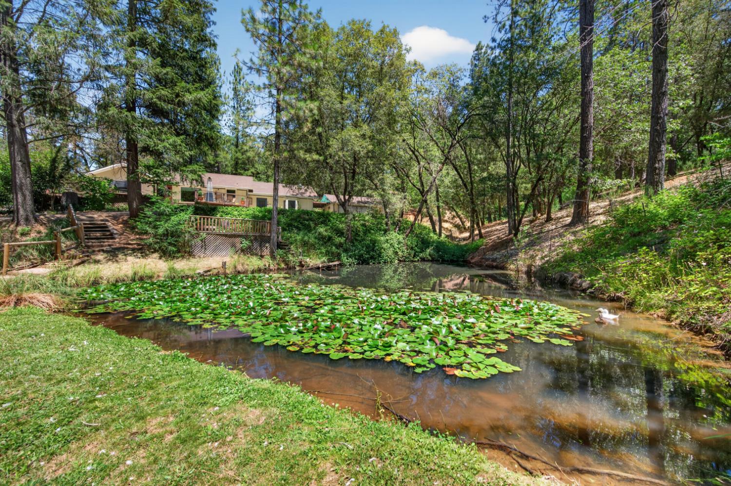 5131 Hackomiller Road
