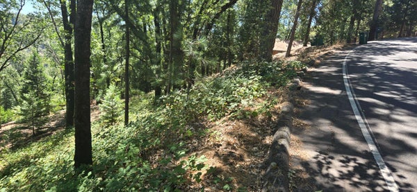 16929 LAWRENCE WAY, GRASS VALLEY, CA 95949 - Image cf3255e27aa20fe9be520793528b0f1d/439901836