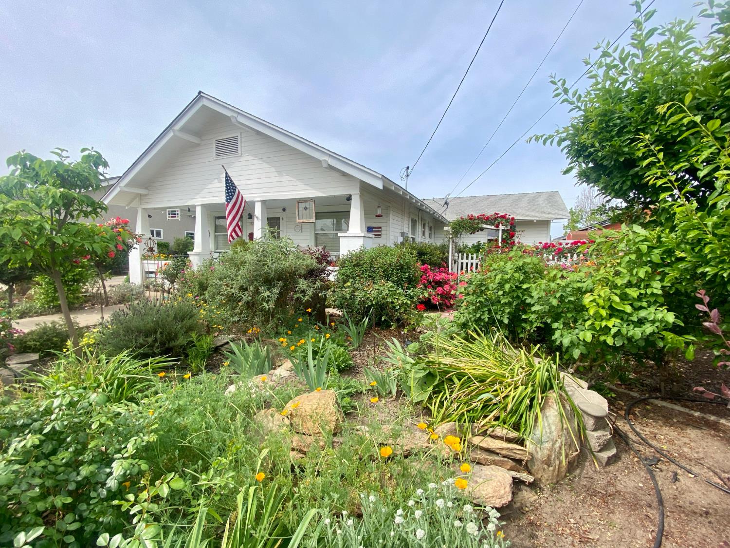 242 Laurel Avenue