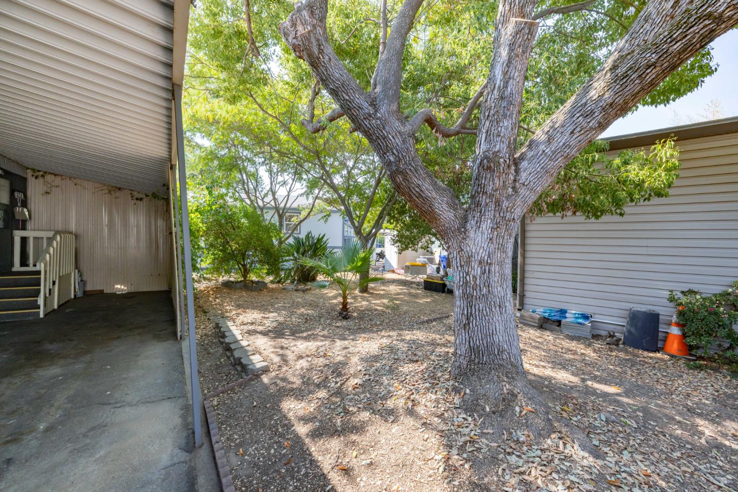 109 PINE Lane