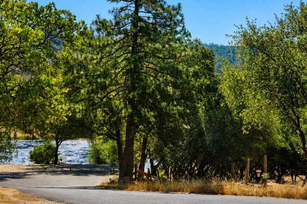 2660 SLEEPY HOLLOW DR, SHINGLE SPRINGS, CA 95682 - Image d0507ca7dd18e57a7dedafd7a34fbab8/2679354