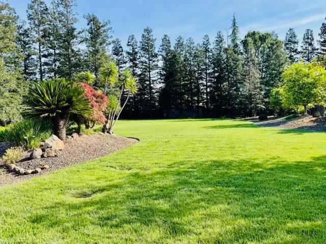 10171 Wildhawk Drive