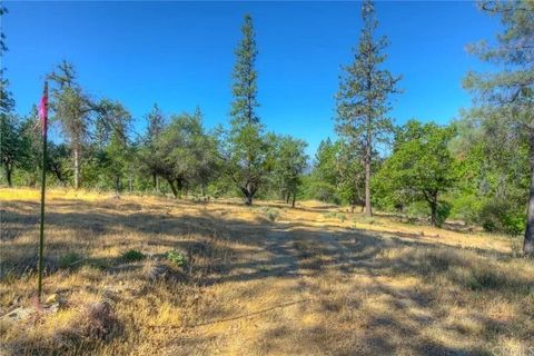 MLS: 225035079