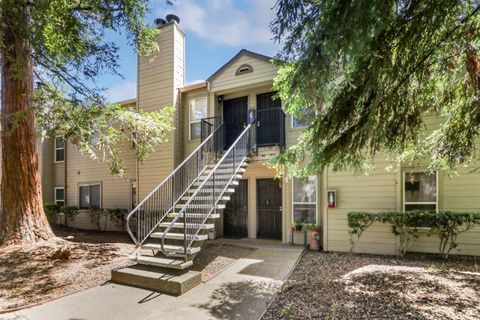MLS: 225063516