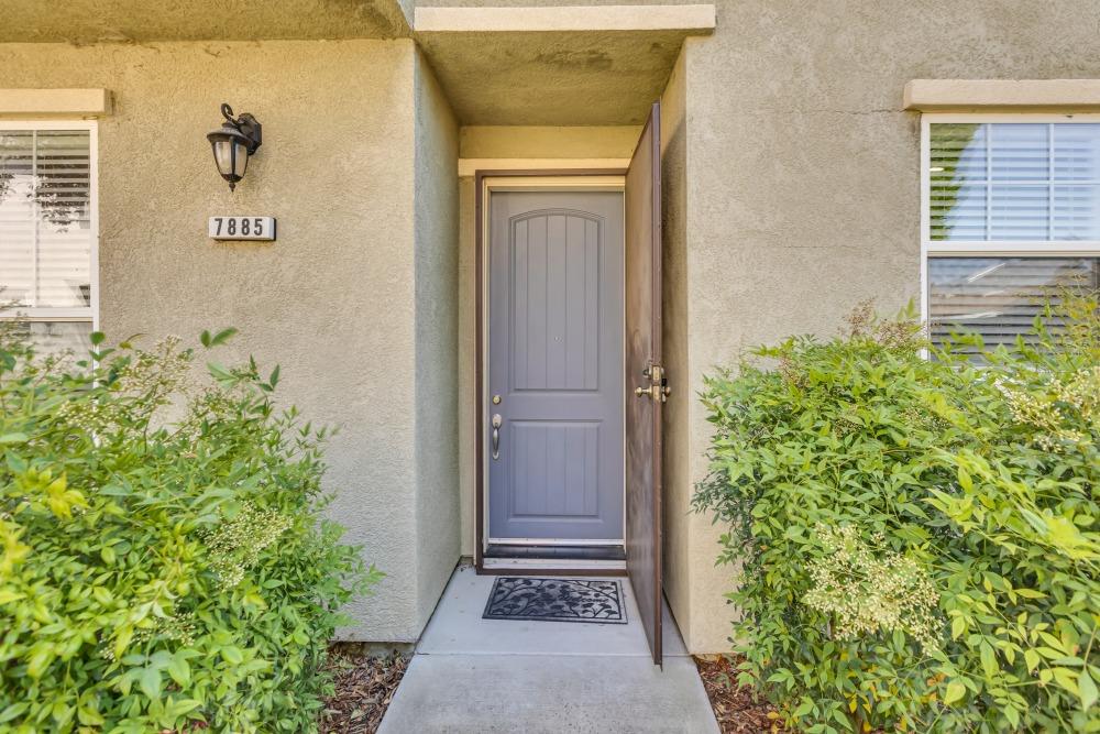 7885 Monaldo Walk