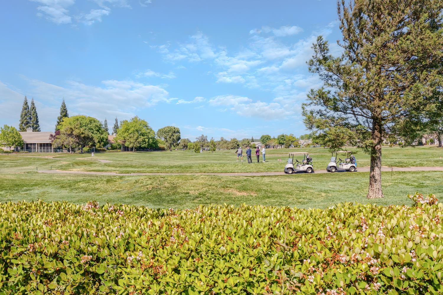 6360 Rose Garden Lane