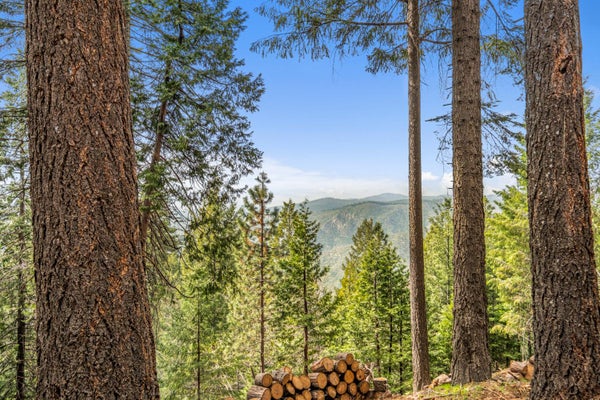 301 CAMELOT WAY, POLLOCK PINES, CA 95726 - Image d44ac5cf4b8d186005c7f829cec6c00a/2437404018