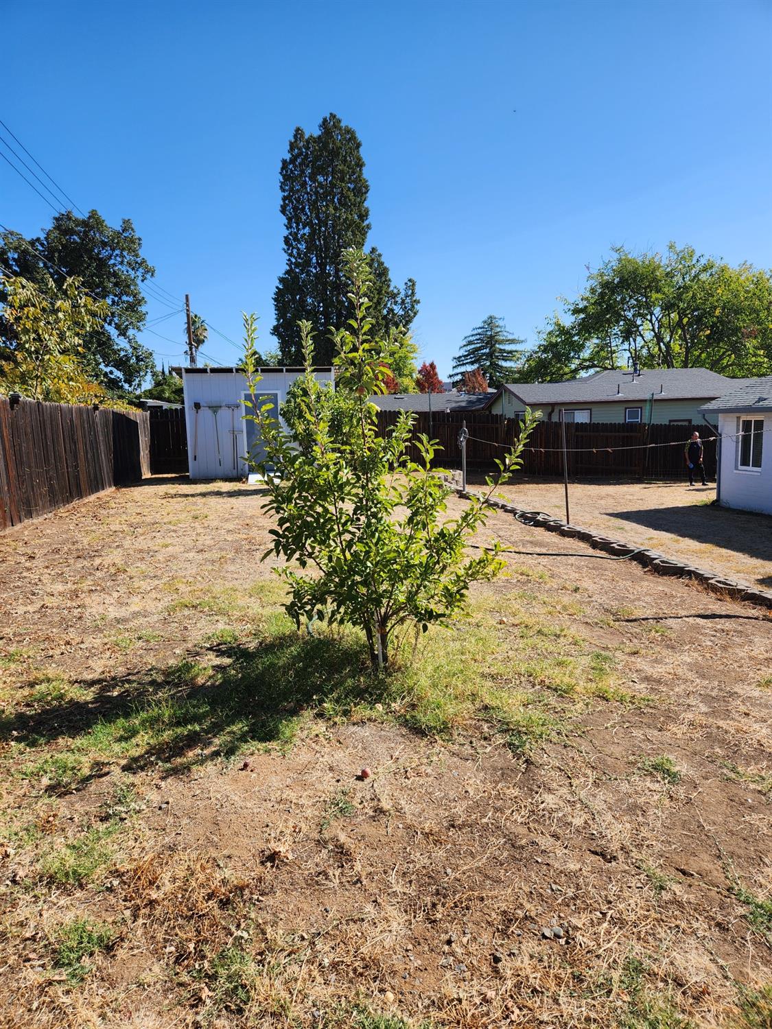 707 Vinewood Avenue