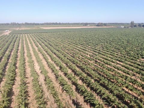 23181 N Davis Road Lodi CA 95242