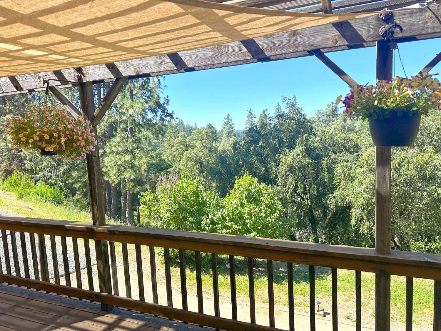 1210 Pine Vista Lane