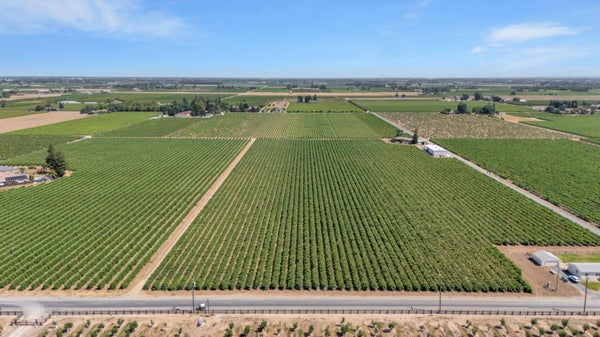9255 E HANDEL RD, LODI, CA 95240 - Image d5e739b60edab4cfb726bb2ab12452ee/4021923105