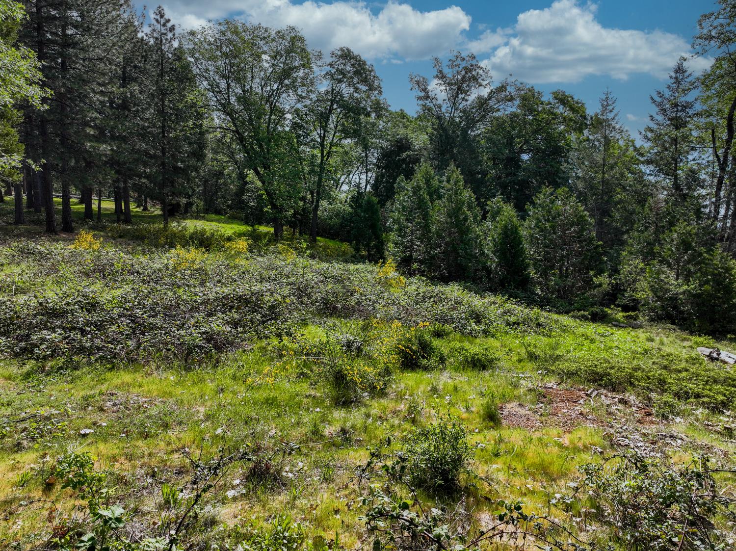 13043 Loma Rica Drive