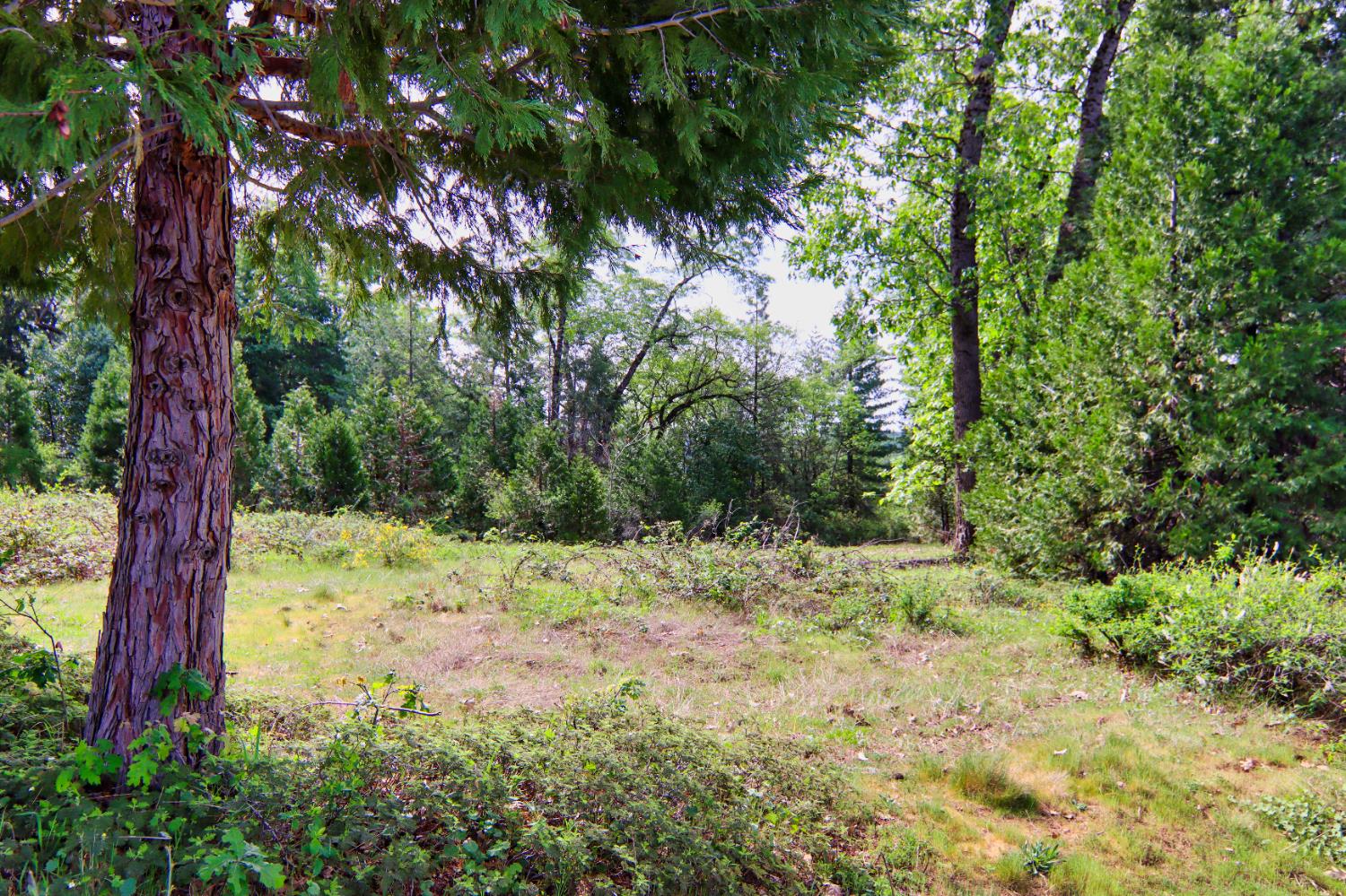 13043 Loma Rica Drive