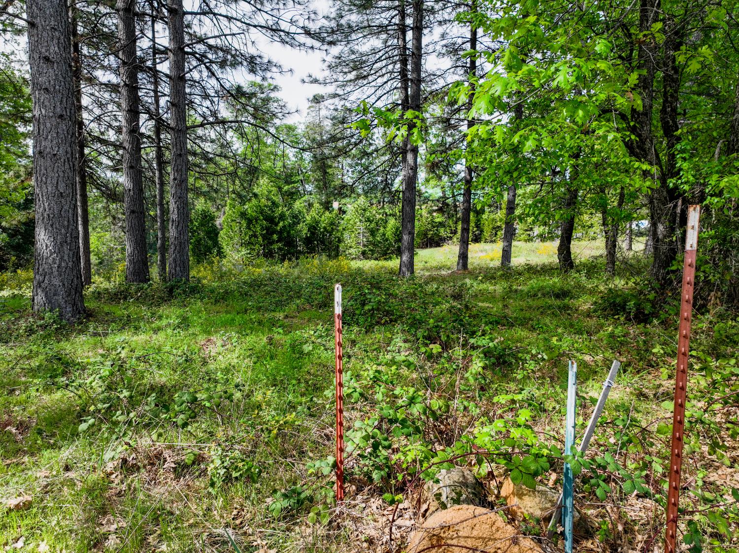 13043 Loma Rica Drive