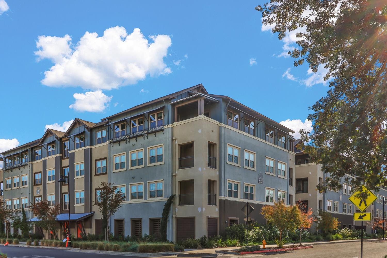 1661 Spring Street 444