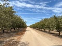 11611 S UNION RD, MANTECA, CA 95336 - Image d6673e819622f1bd327f072cfdd4fa33/52057647