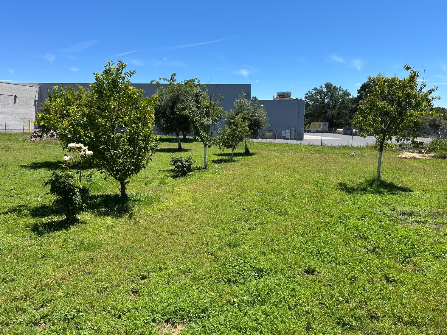 289 Highway 4