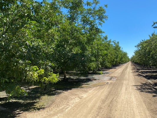 32200 S KOSTER RD, TRACY, CA 95304 - Image d6eee2d0d922d7e087dc5d8dcbd1e5ed/33602182