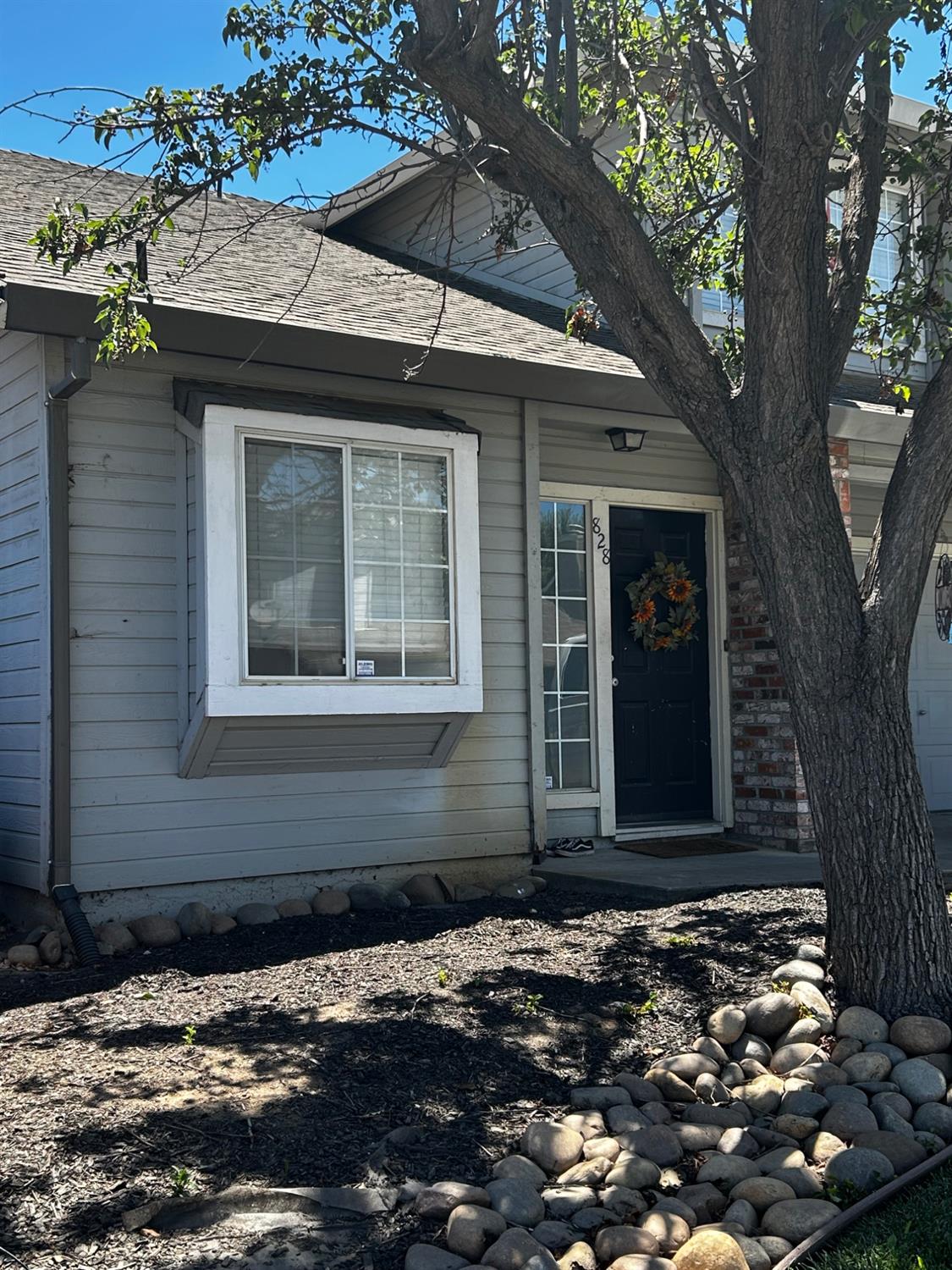 828 Lyonia Drive