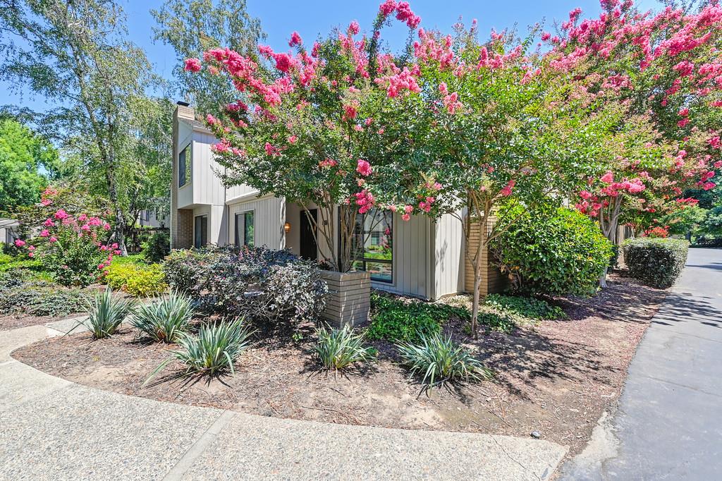 1217 Vanderbilt Way