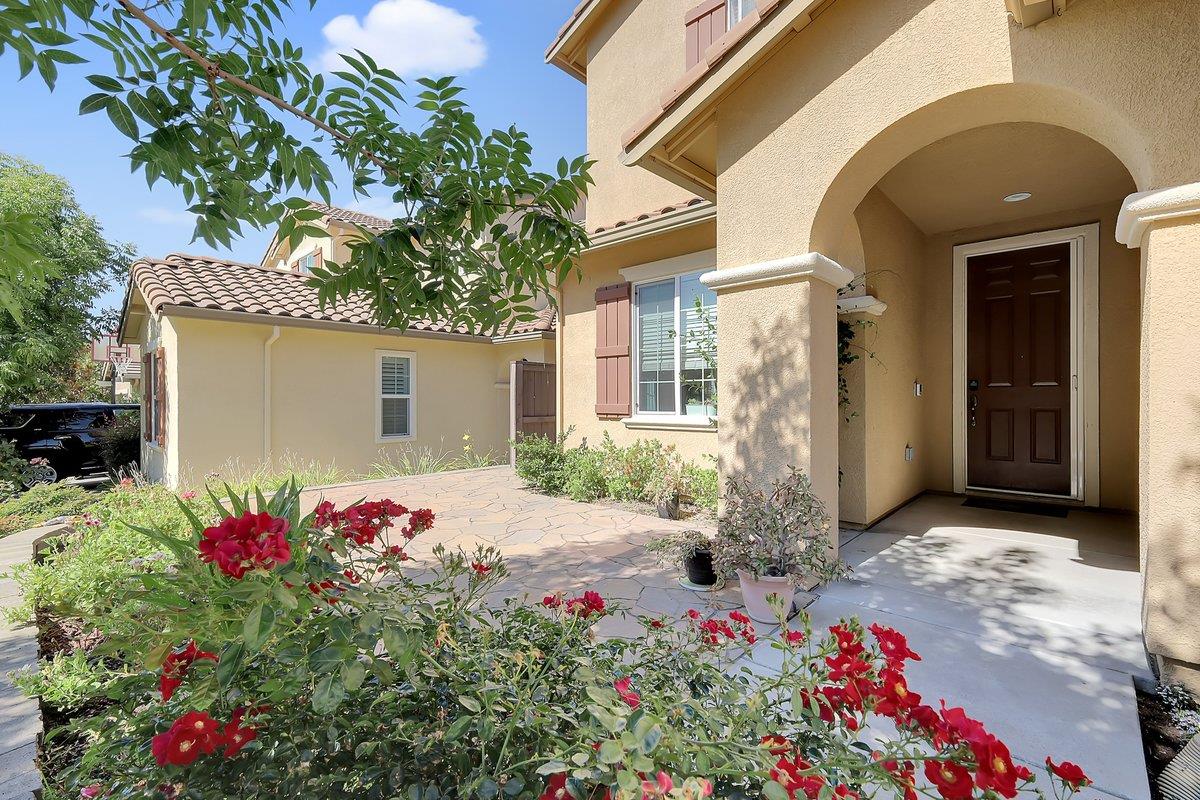 848 Calico Drive