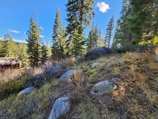 102 JOHN EBBETTS RD, ARNOLD, CA 95223 - Image d7a87652dbee18f1bea940ea25234c0a/4229679456
