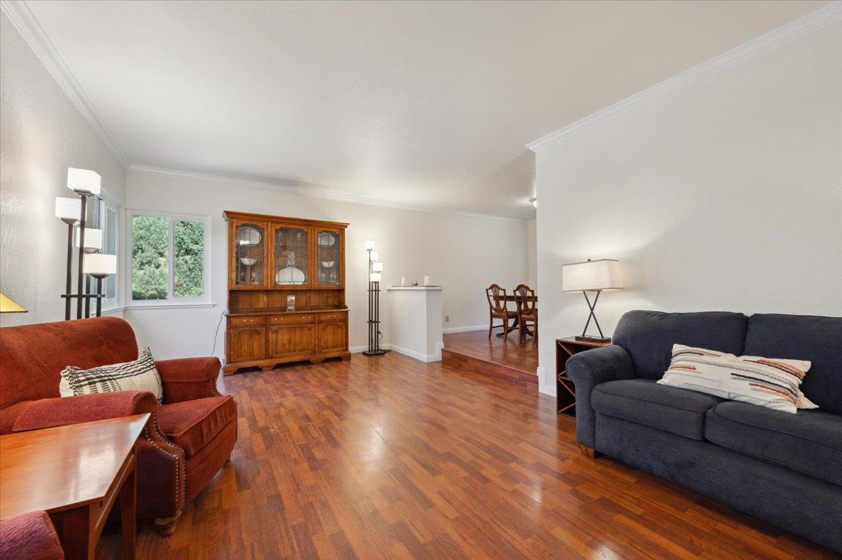 438 Olive Orchard Drive