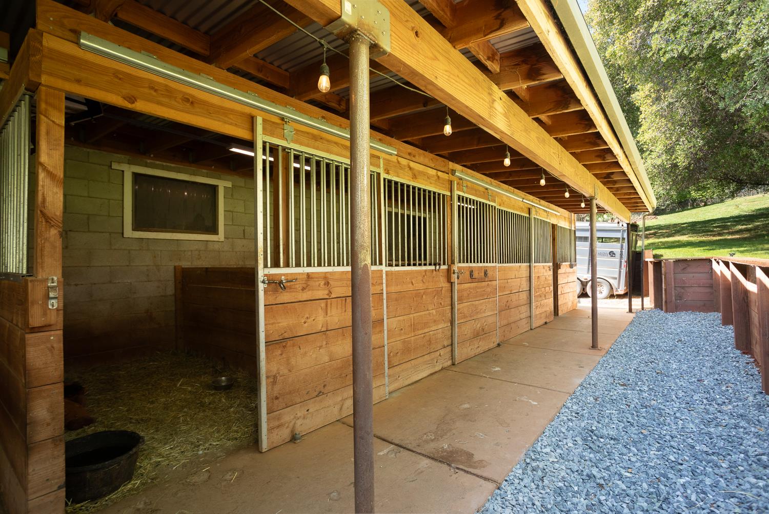 7005 Cross Star Trail