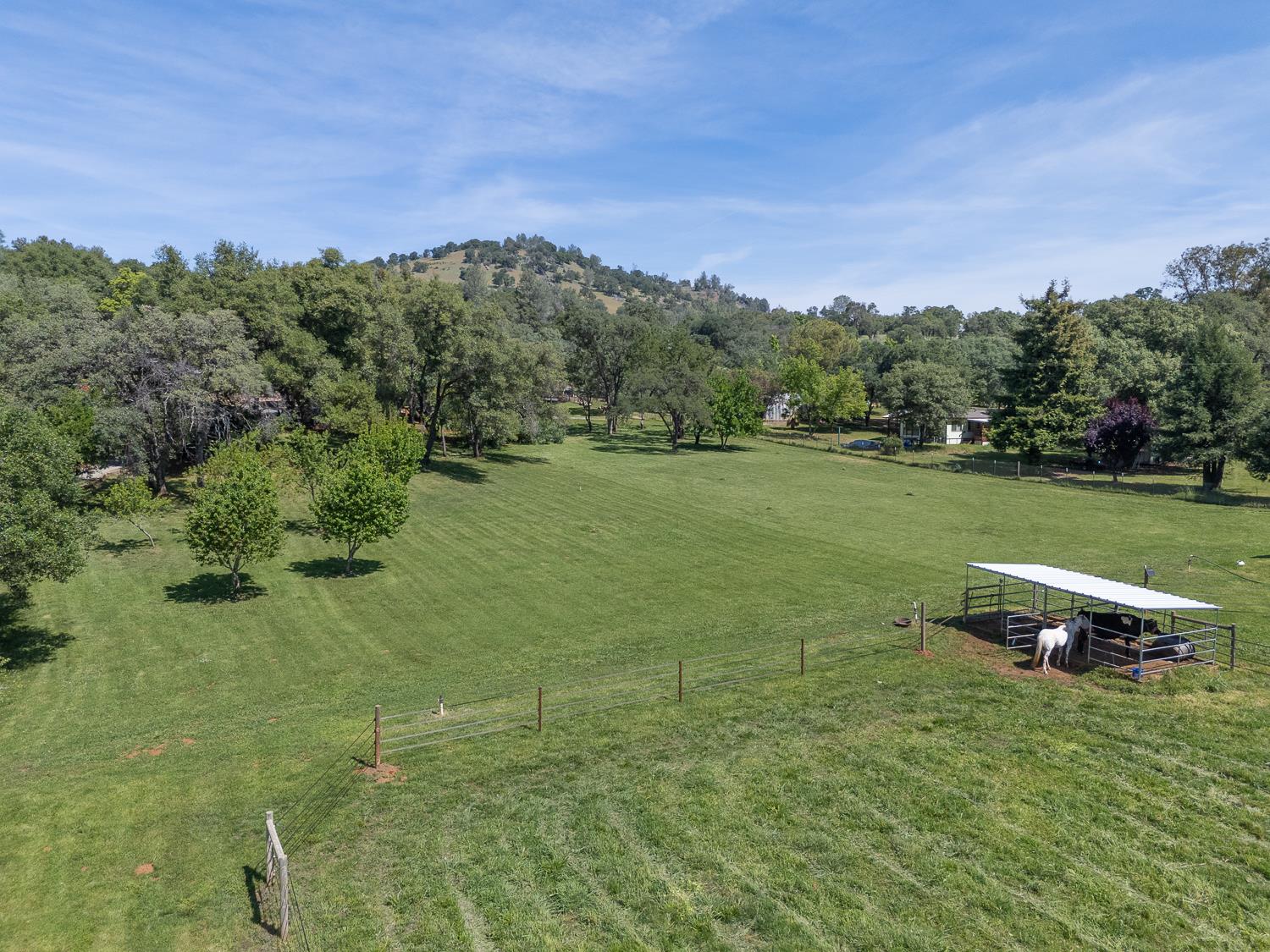 7005 Cross Star Trail