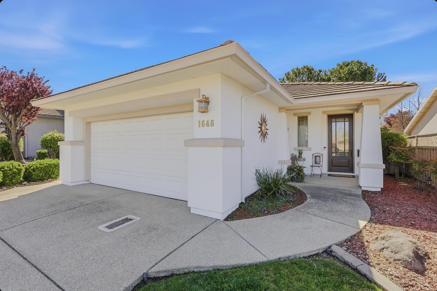 1646 Grand Pheasant
