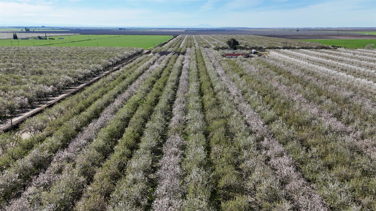 11152 Carrolton Road