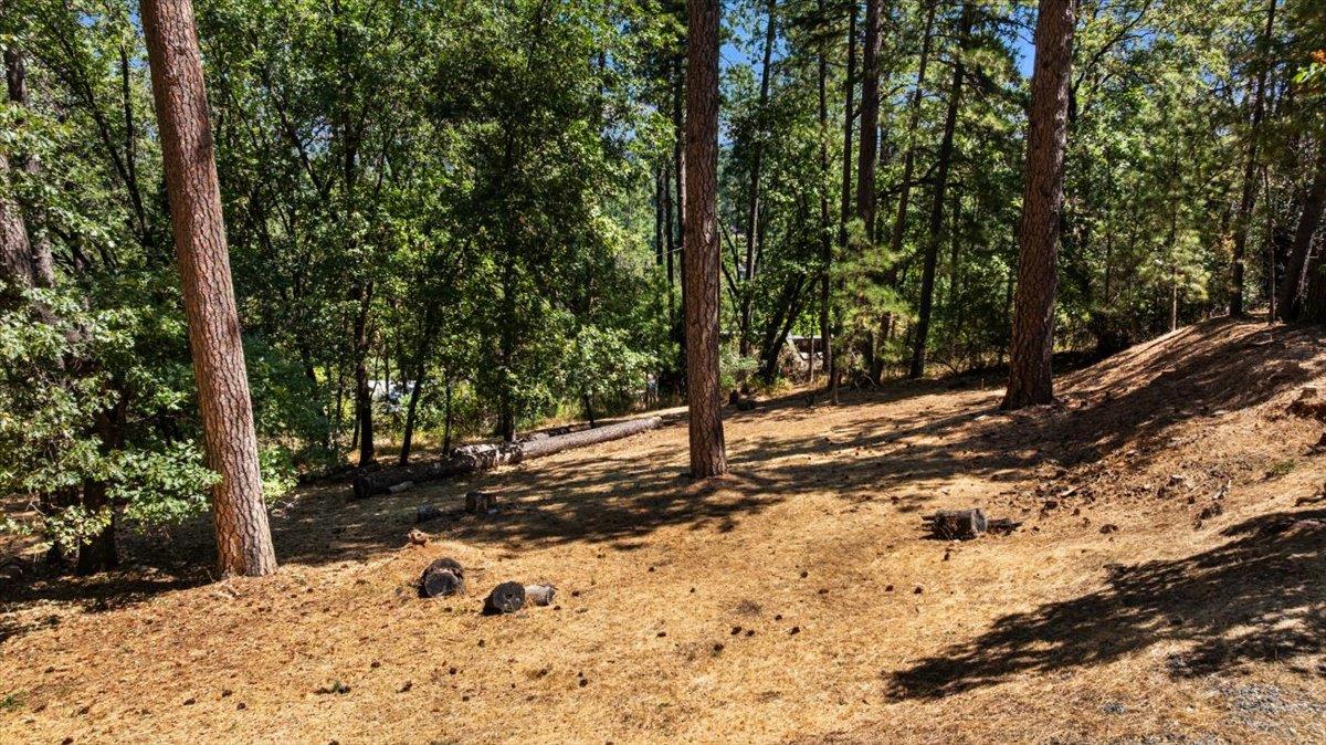 Meadow Vista, California 95722, United States, 3 Bedrooms Bedrooms, ,2 BathroomsBathrooms,Residential,Active,184464