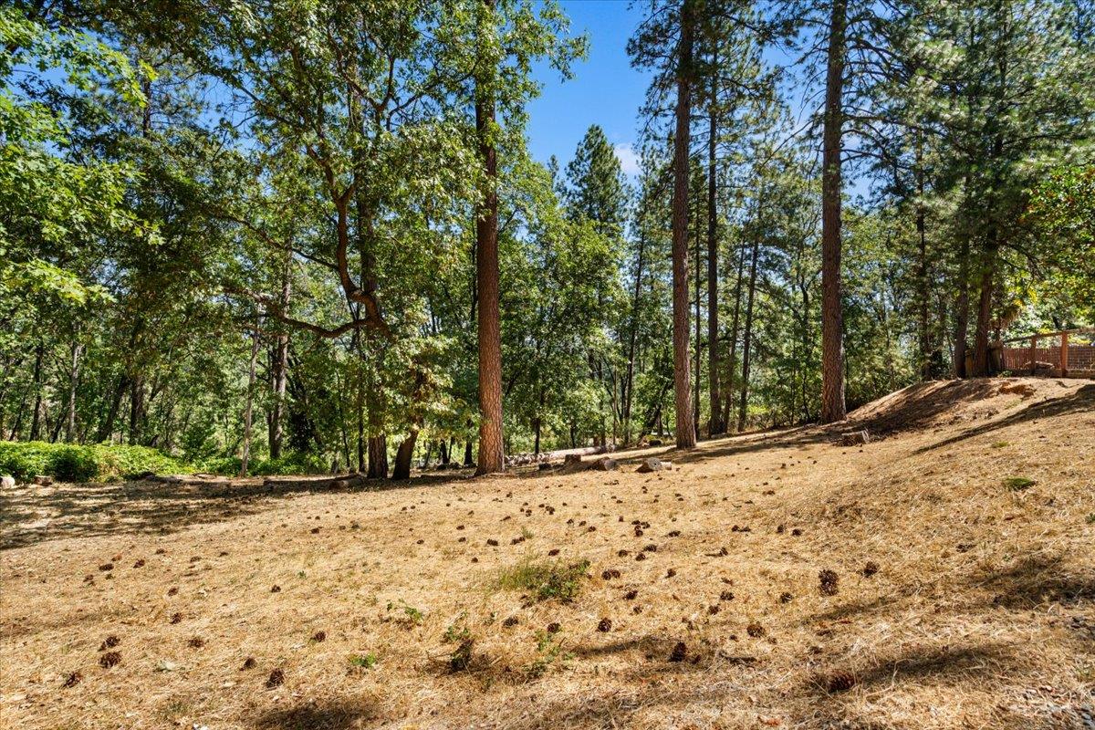 Meadow Vista, California 95722, United States, 3 Bedrooms Bedrooms, ,2 BathroomsBathrooms,Residential,Active,184464