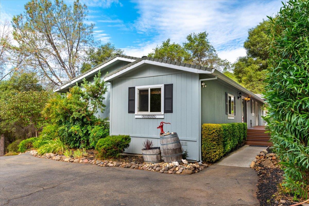 24640 Scooter Bug Lane